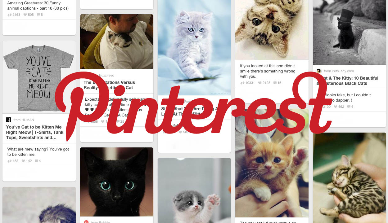 Pinterest Announces Promoted Pins | Logic Media