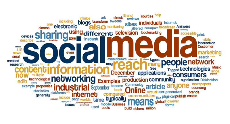 Your Website Rankings and Social Media | Logic Media