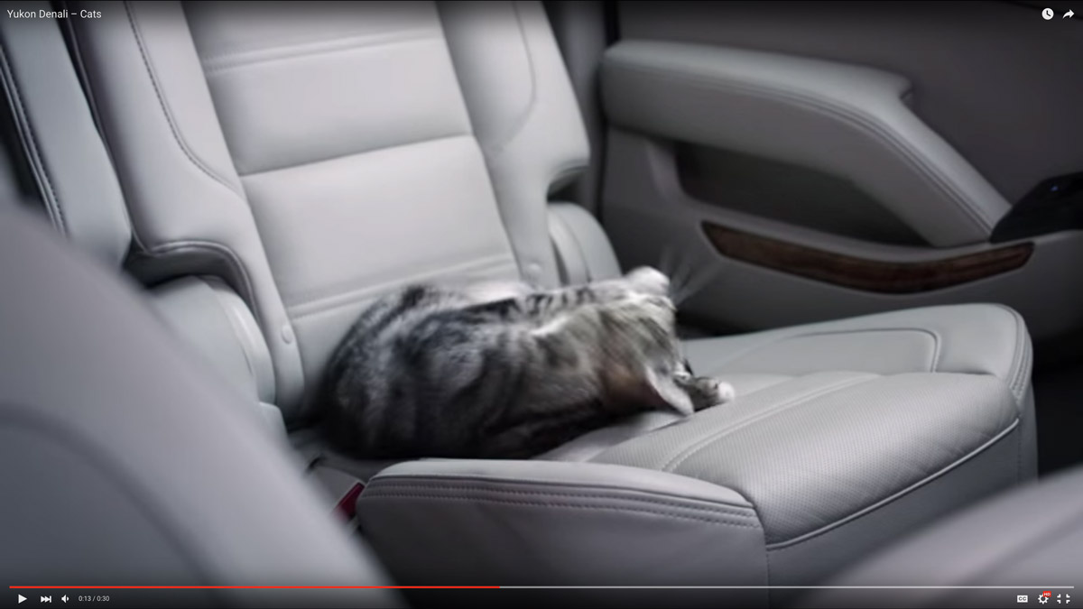 Cat Videos and Marketing | Logic Media