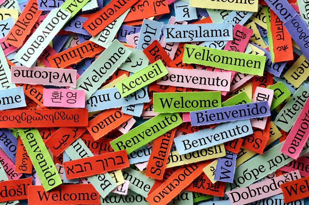 Google Stops Offering Translate Embeds for Websites | Logic Media