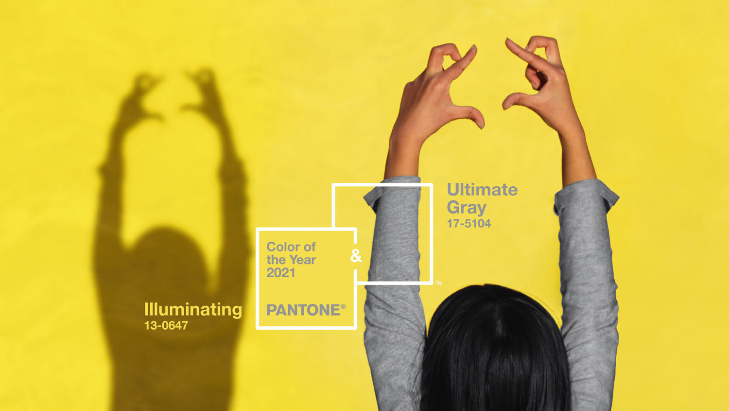 Pantone 2021 Color of the Year | Logic Media