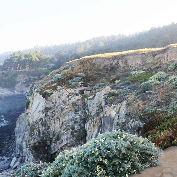 California